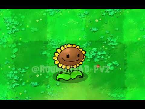 Ordinary sunflower day