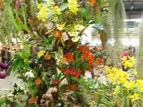 THE 15th EUROPEAN ORCHID CONGRESS AND SHOW