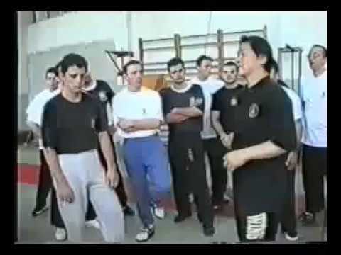 Traditional Wing Chun Kung Fu in Macedonia Day 2