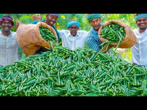 LADY FINGER CHIPS | Fried Lady Finger Recipe Cooking in Village | Okra Recipe Vendakkai Mor Kulambu
