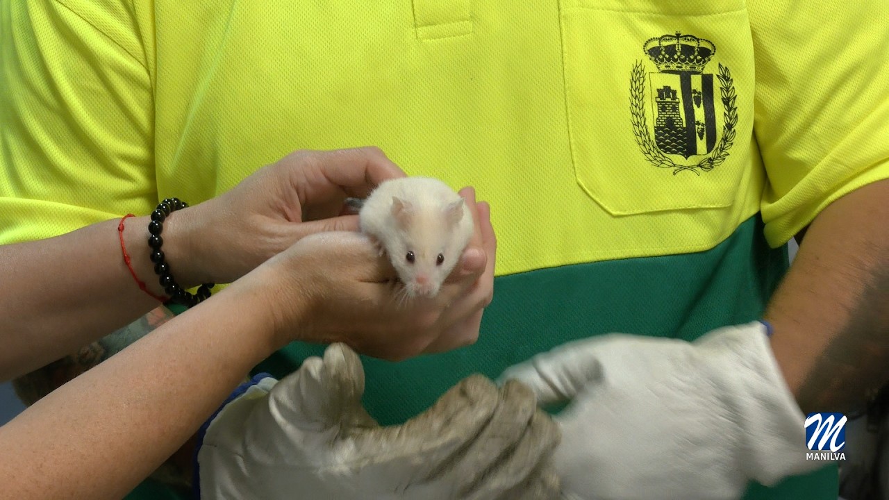 Se condena el abandono animal Se condena el abandono animal