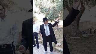 הרב יהודה שלוש שליט"א | איסור חג שבועות | הרב הבית (הרב יהודה שלוש) - התמונה מוצגת ישירות מתוך אתר האינטרנט יוטיוב. זכויות היוצרים בתמונה שייכות ליוצרה. קישור קרדיט למקור התוכן נמצא בתוך דף הסרטון