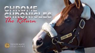 Chrome Chronicles - The Return