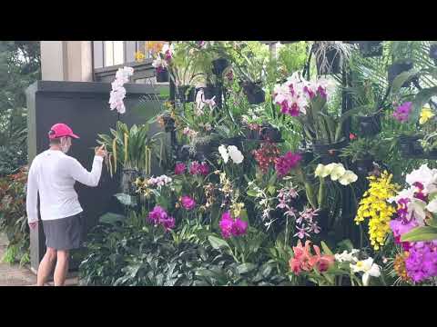Longwood Gardens, Conservatory, Orchid Garden