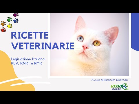 , title : 'Ric. veterinarie| RMR | RNRT  ✍️📄🐶🐱🐻🐯🐮🐑'