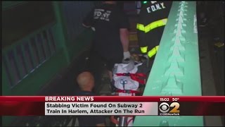 Harlem Subway Stabbing