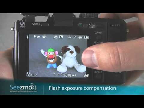 Panasonic GF1: Beach Snow Guide