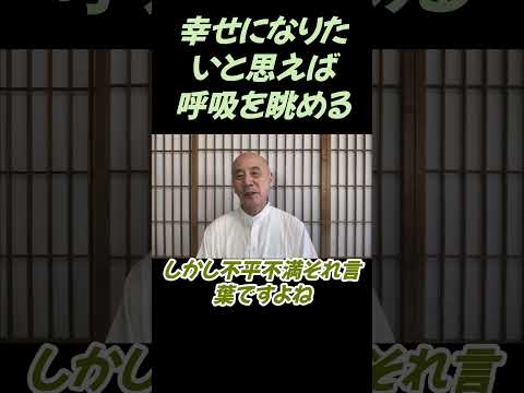 仏教学科 幸せになりたいと思えば、先ず呼吸を眺める#切り抜き＃ヨガ＃健康#仏教＃瞑想＃マインドフルネス