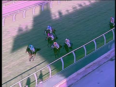 Galoppo 30/11/2019 - 1ª corsa