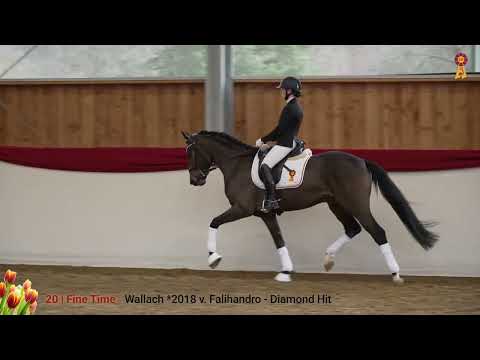 Lot 20 Fine Time - Wallach v. Falihandro/Diamond Hit