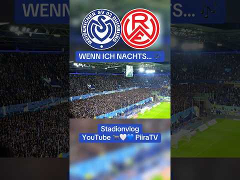 Zebras im Europacup 🎶 vs RWE im Derby! 🦓🤍💙 #msv #msvduisburg