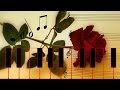 Joni James - The unforgettable 