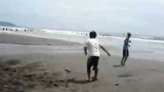 Paekakariki beach New Zealand 07