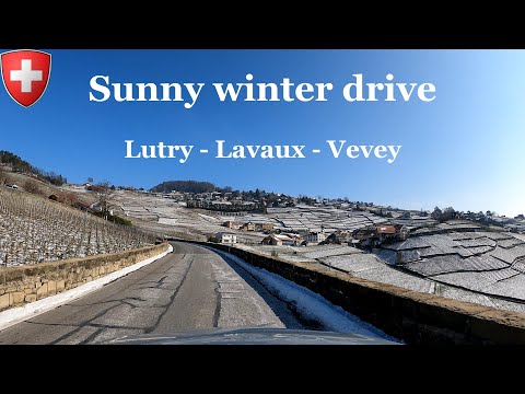 Come feel this sunny winter drive! 🇨🇭 | Lutry - Lavaux - Vevey, Switzerland
