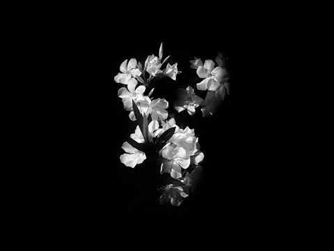 [FREE] THE WEEKND x ROY WOODS TYPE BEAT | "UNIVERSAL BLOOM"