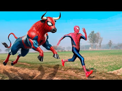 Homem Aranha e o Toro Aranha ( Filme completo 2025)