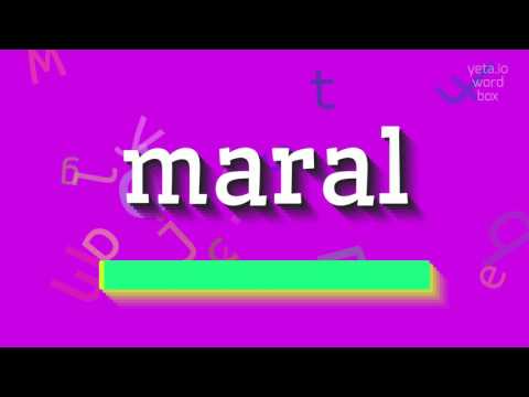 How to say "maral"! (High Quality Voices)