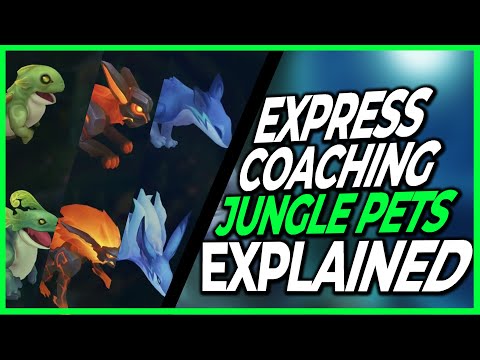 EXPRESS Jungle Coaching | JUNGLE PETS? | Season 13