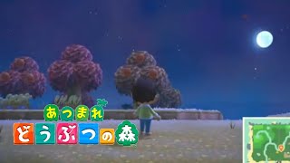 ここに来て初めて使った言葉があるんだ。【あつまれ　どうぶつの森】#1