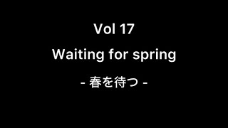 【シドニーで働く50代】17. Waiting for spring - 春を待つ -