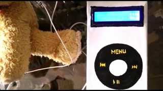 King of Kings OVERCOMERS Cover Contest by MARNAT 4