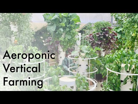 Vertical Farming with Aeroponic Tower Gardens