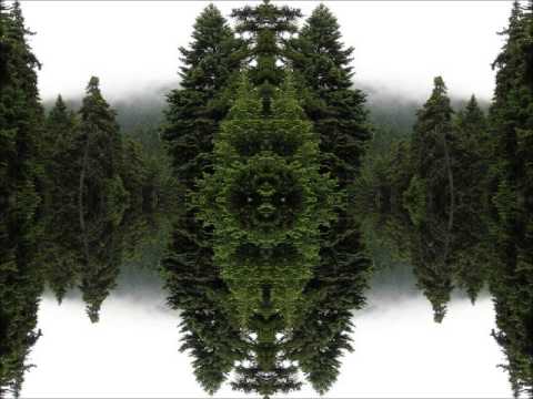 Syb Unity Nettwerk - Unconsciousness