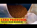 How To Make Fish Feed Independently