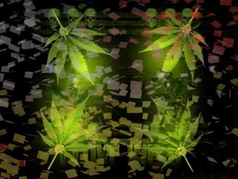 17-Kralle, Chuky & Fucking Fella - Alles im Griff