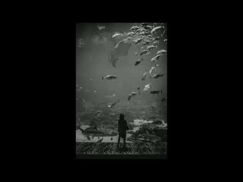 "Anti" - Kool Savas x Takt32 | Type Beat | MoeNMQ