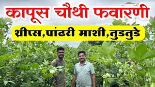 कापूस चौथी फवारणी कोणती 🔥 Kapus chauthi Favarani Krushimitra Vishal