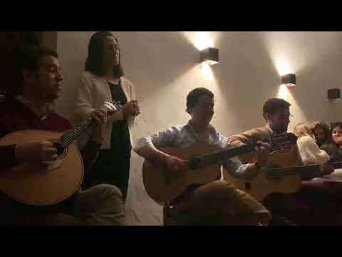 Teresa Brum - Bailarico Saloio