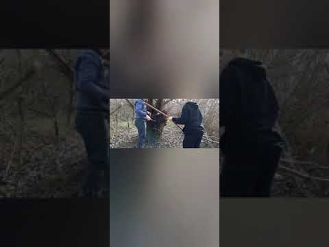 Nea luat vântul cortul ?😢😢😢