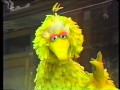 Classic Sesame Street Big Bird Talks About Noses