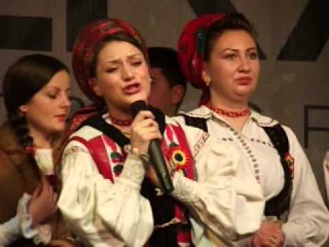 LAVINIA MARIA CHIFOR