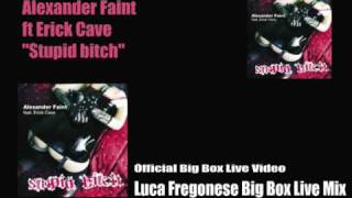 ALEXANDER FAINT feat ERICK CAVE Stupid Bitch - Luca Fregonese Big Box Live Mix Official Video.mpg