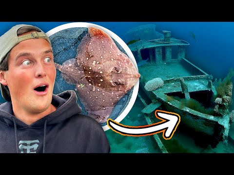 EXPLORING WAR WRECKS HIDING GIANT FISH