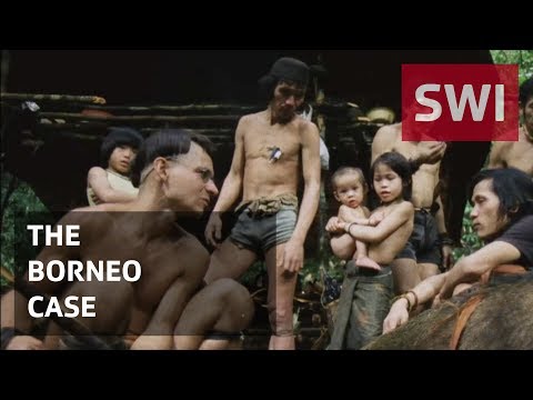 A moving homage to Bruno Manser