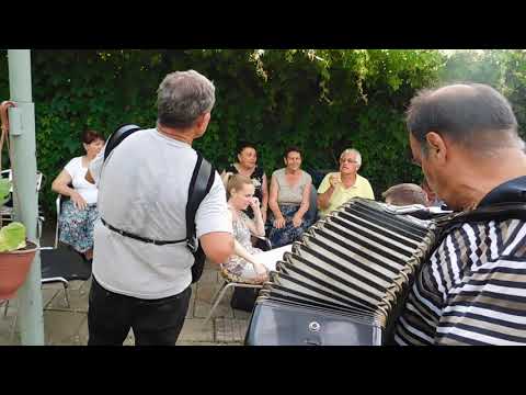 SVEDOSTVA -ПЕСНИ