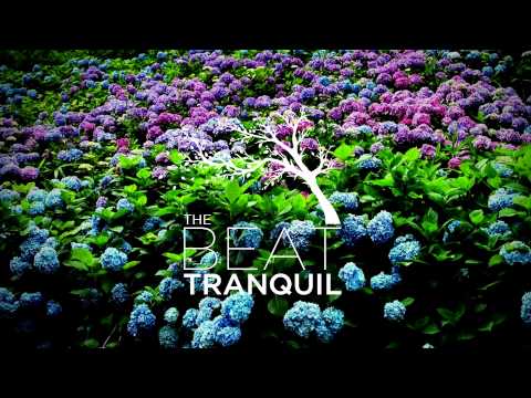 Jorgen Odegard - First Day of Winter (Falling)