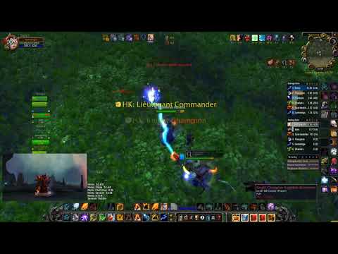 Shmu Ele Shaman. Destroying people in WSG.