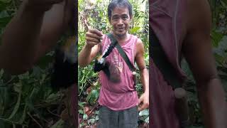 Download lagu This man immediately scored two points after participating in a magpie robin attraction. mp3