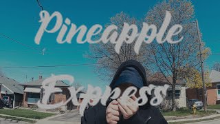 Download lagu Pineapple Express - Bulldogg mp3 Download lagu Pineapple Express - Bulldogg mp3
