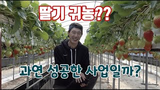 귀농인들이 딸기를 선택하고 실패만 했다고?? 관심과 노력의 차이 아닐까요?