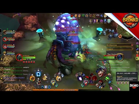 One button feral is a monster - Feral druid the war within 11.1.7 | BronkoGameGuides