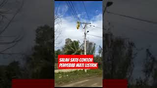 Download lagu Penyebab listrik padam / mati lampu #pln #electrical #lineman mp3