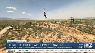 Zip Line over exotic animals at Out of Africa Wildlife Park in Camp Verde