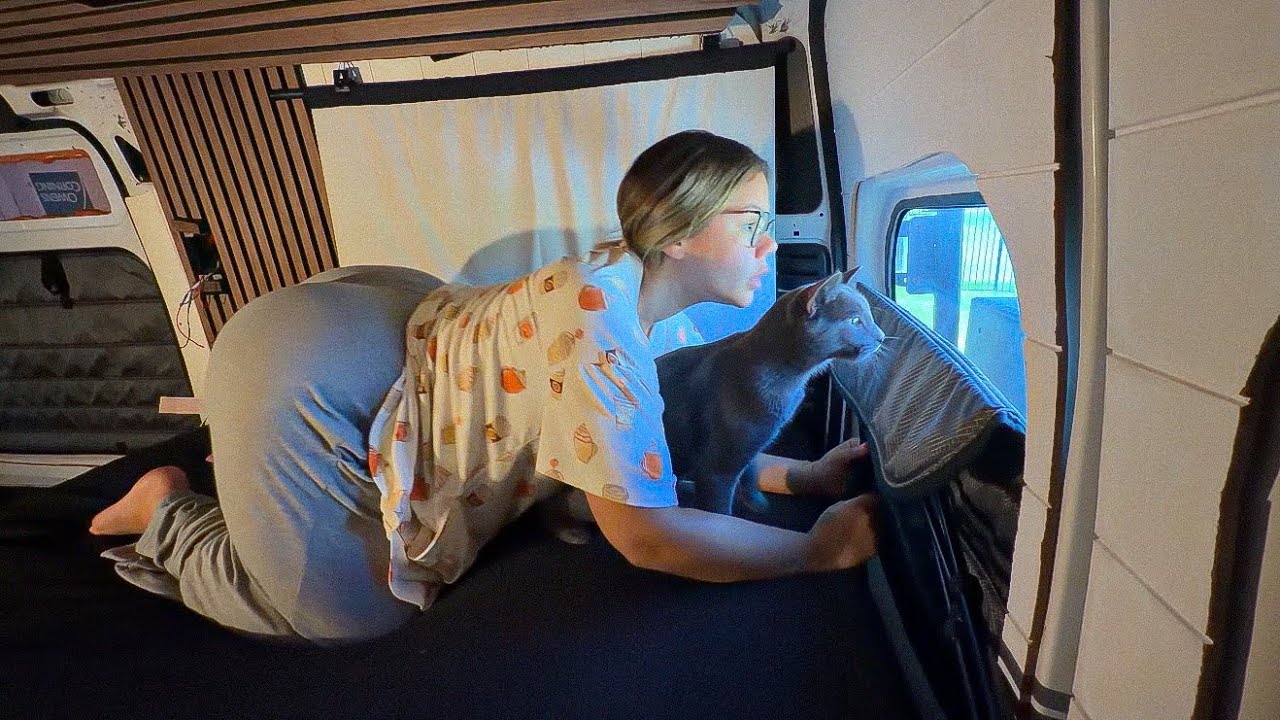 Yoga in bed With my Pet Cat 