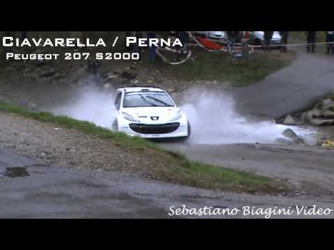 Rally Del Carnevale 2013: Ciavarella Gabriele