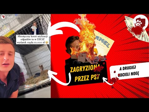 AFERA DIOZ | PODROBILI DOKUMENTACJE? SAMI OBCIĘLI NOGĘ, ZAGRYZIONE ZWIERZĘTA